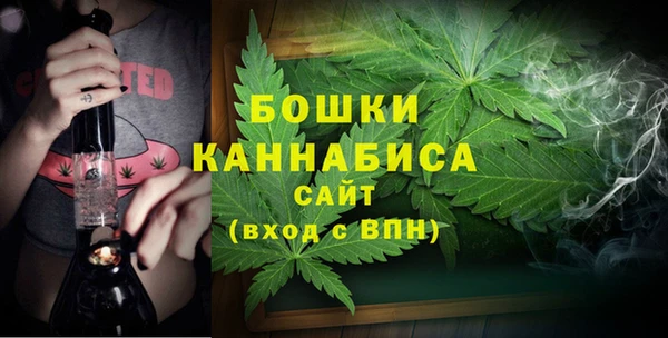 PSILOCYBIN Бородино